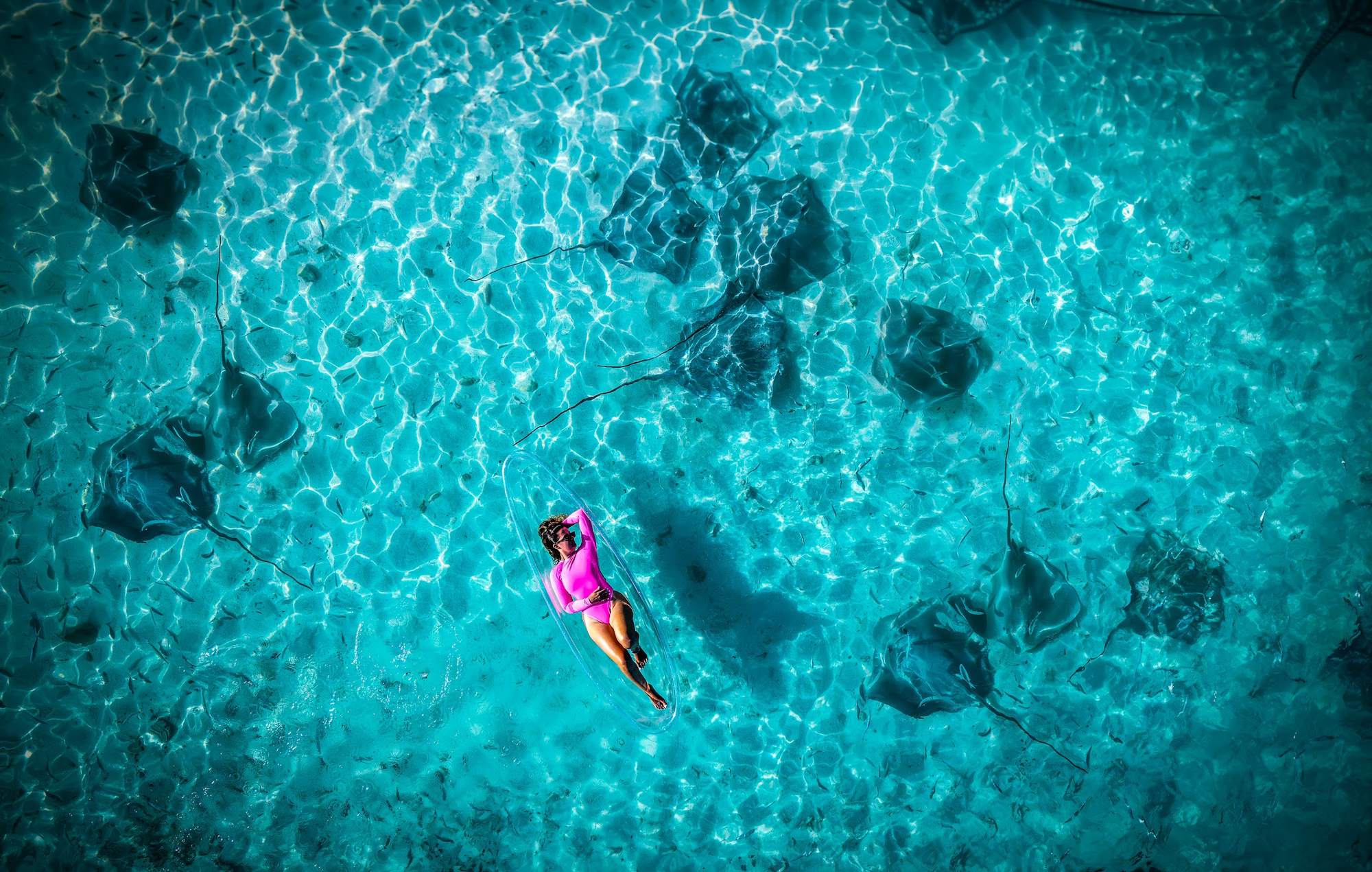 Aerial view of a guest floating among a dozen stingrays over pale rippled sand in shallow water.